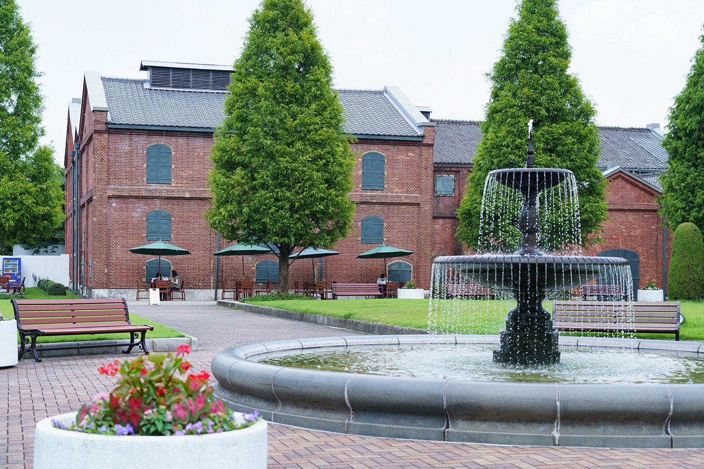 🌳 노리타케의 숲(노리타케노모리) 이미지 8